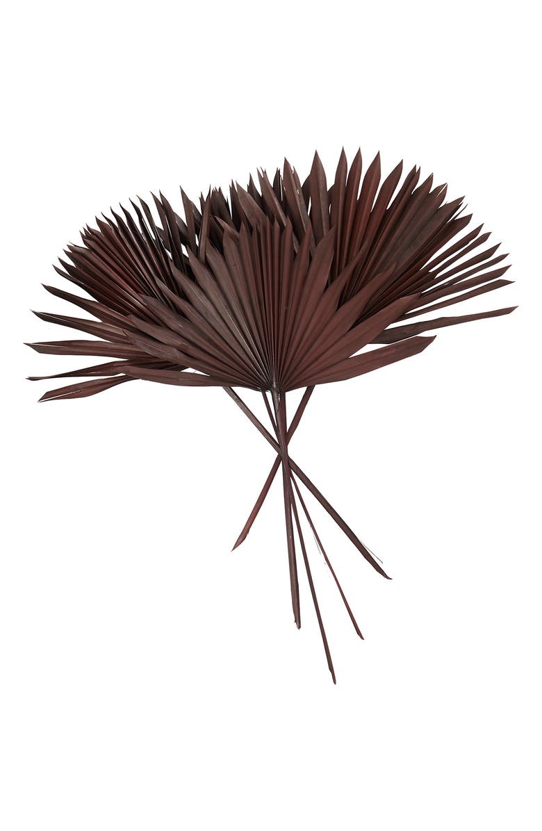 Novogratz Dried Pampas Grass, Main, color,