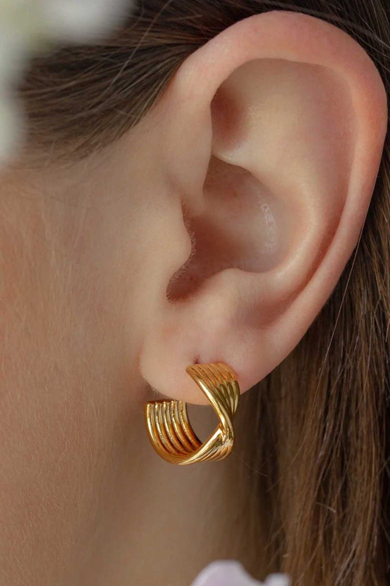 14k Gold Plated Maeve Huggies Dainty Hoop Earrings Trendy, Alternate, color, Gold