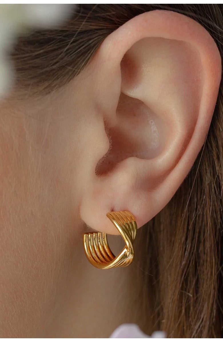 Bearfruit Jewelry 14k Gold Plated Maeve Huggies Dainty Hoop Earrings Trendy, Alternate, color, Gold