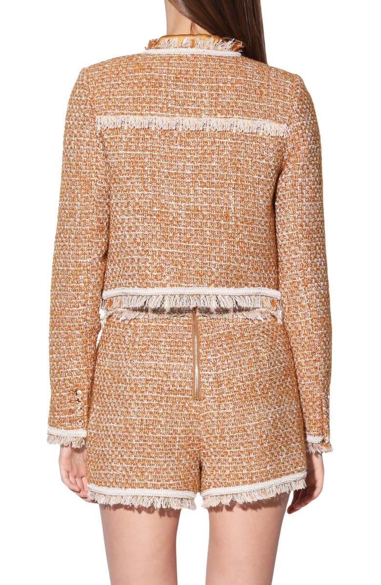 Walter Baker Leondra Tweed Jacket, Alternate, color,