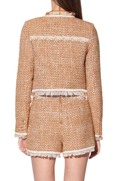 Walter Baker Leondra Cozy Fit Jacket In Honey Tweed