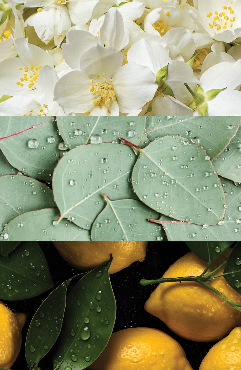 BADGLEY MISCHKA Cap d'Antibes Extrait de Parfum Set (Nordstrom Exclusive) $150 Value, Alternate, color, White