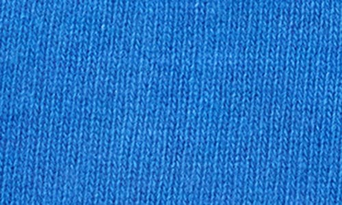 Portolano Solid Cashmere Scarf In Blue