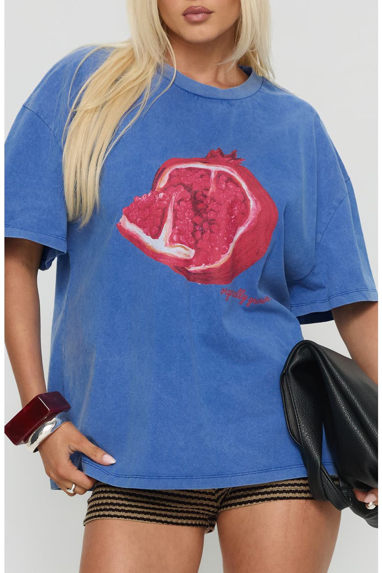 Linsay Pomegranate Oversize Cotton Graphic T-Shirt, Main, color, BLUE / POMEGRANATE