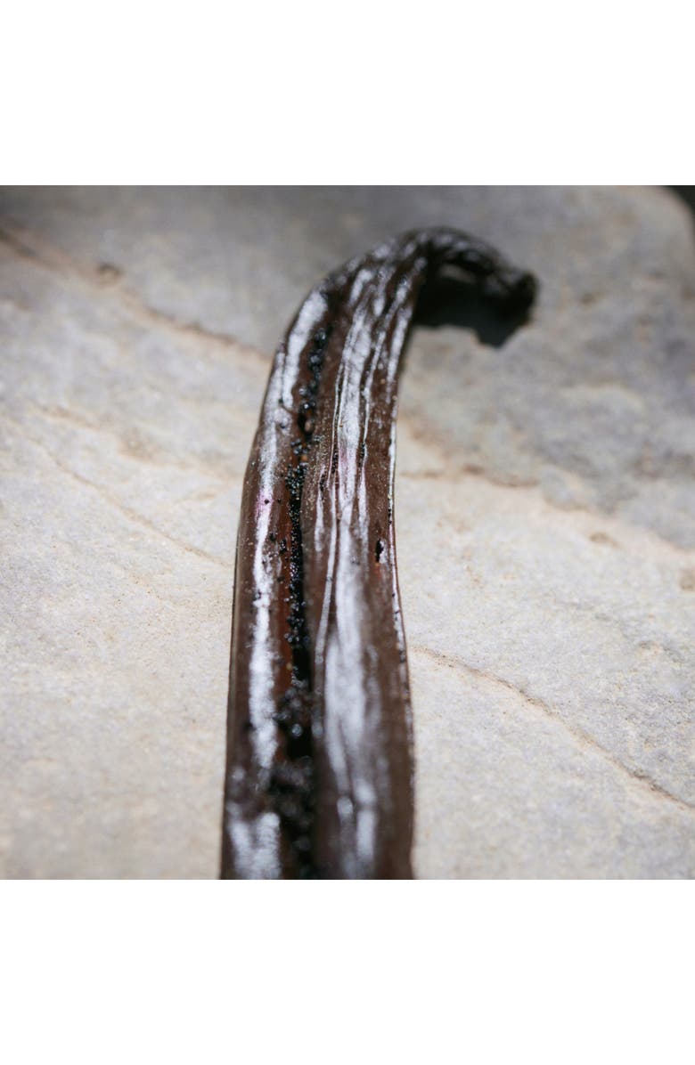 Chloé Nomade Naturelle Eau de Parfum, Alternate, color, 