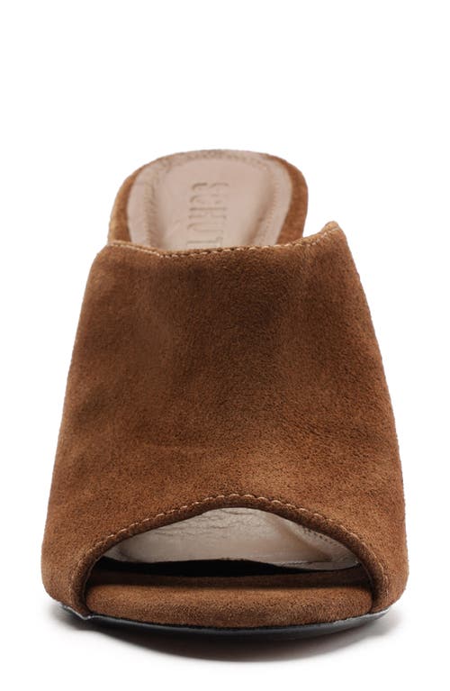 Schutz Esme Slide Sandal In Brown