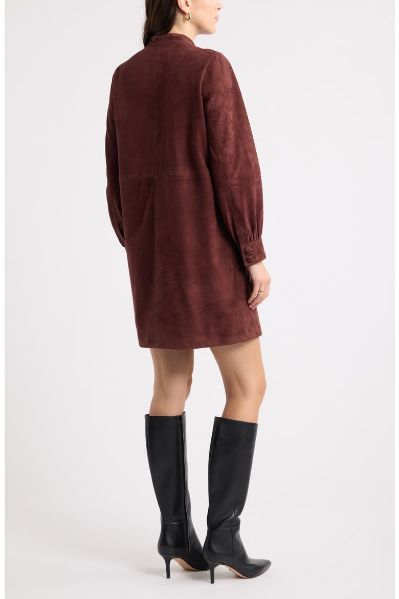 Suede Leather Button Front Dress, Alternate, color, BROWN CHOCOLATE