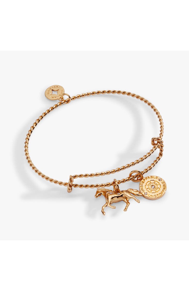Alex and Ani Horse Rope Textured Charm Bangle Bracelet, Main, color, Gold