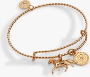 Alex and Ani Horse Rope Textured Charm Bangle Bracelet