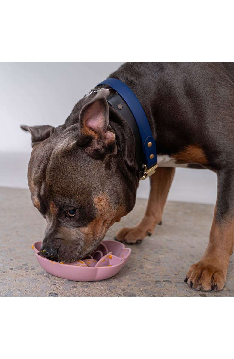 Dexypaws Flower Slow Feeder, Alternate, color, 