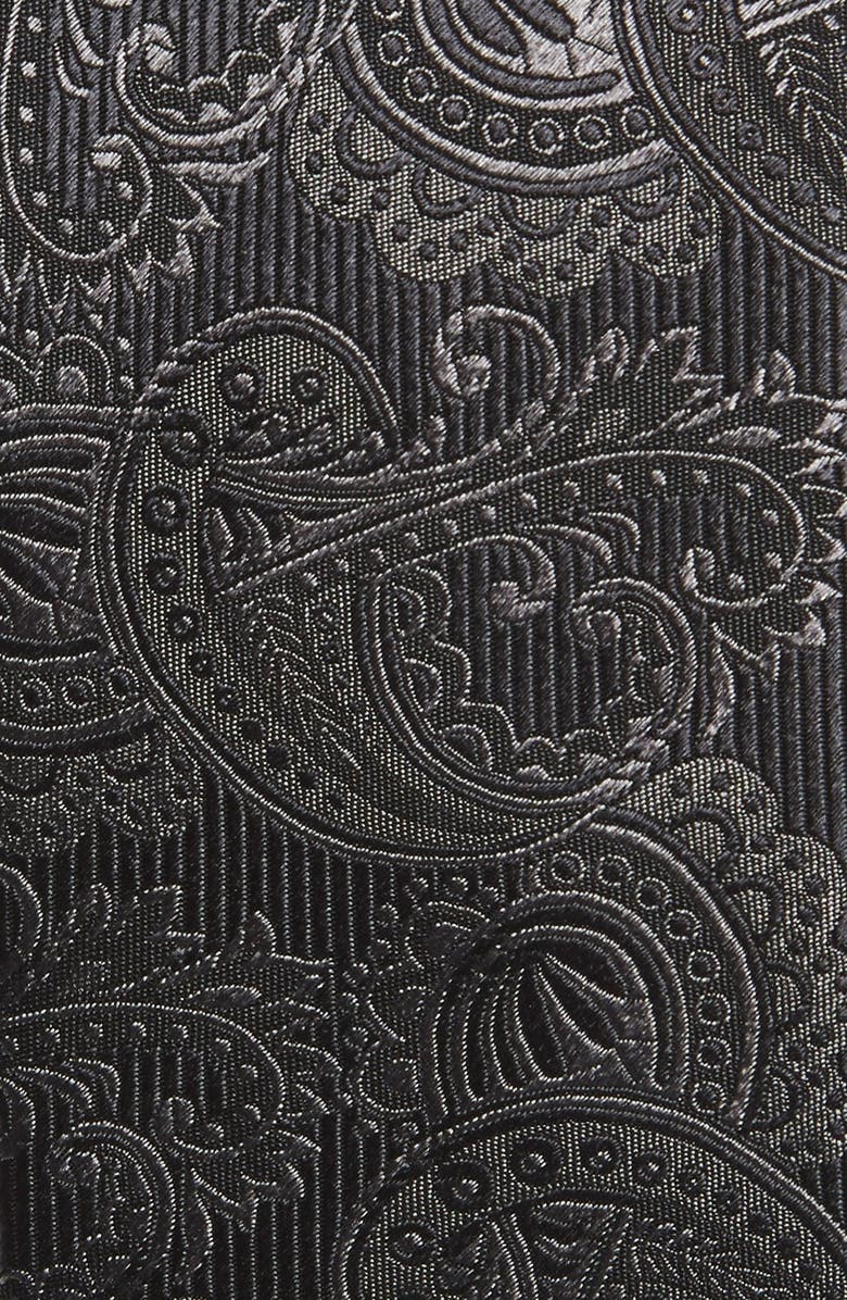 The Tie Bar Textured Paisley Silk Tie, Alternate, color, 