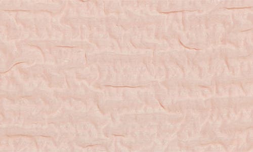 Akris Techno Organza Boxy Top In Peach