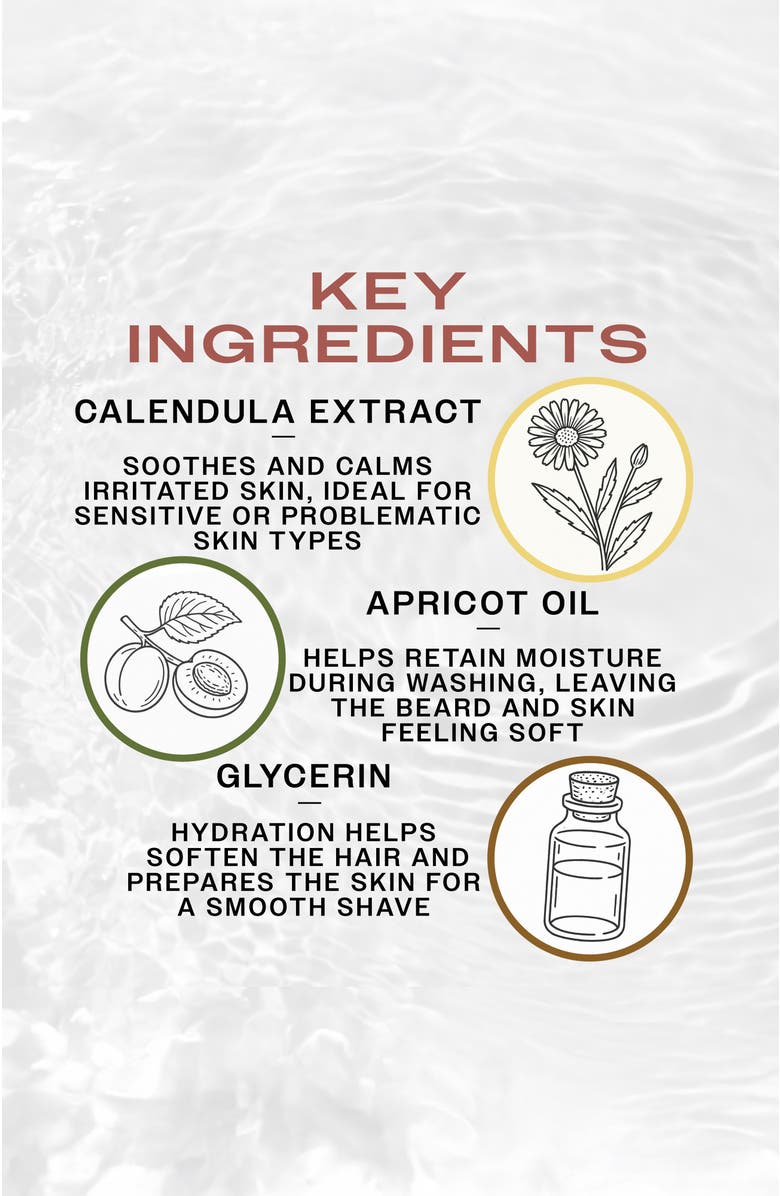 REUZEL Clean & Fresh Beard Wash, Alternate, color, NO COLOR