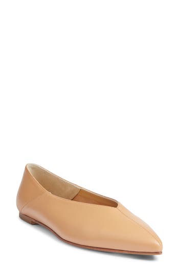 Aeyde Pointed-toe Leather Ballerina In Brown