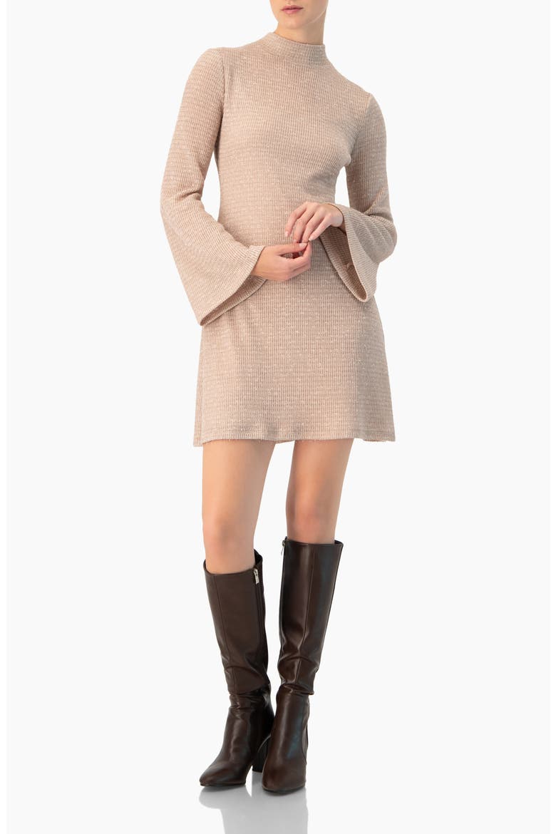 Short Knitted Long Sleeve Dress, Alternate, color, Dusty Pink