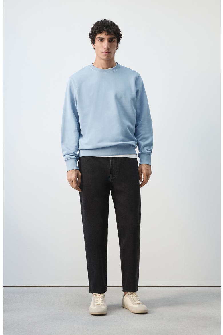 Regular Fit Cotton Sweatshirt, Alternate, color, SKY BLUE