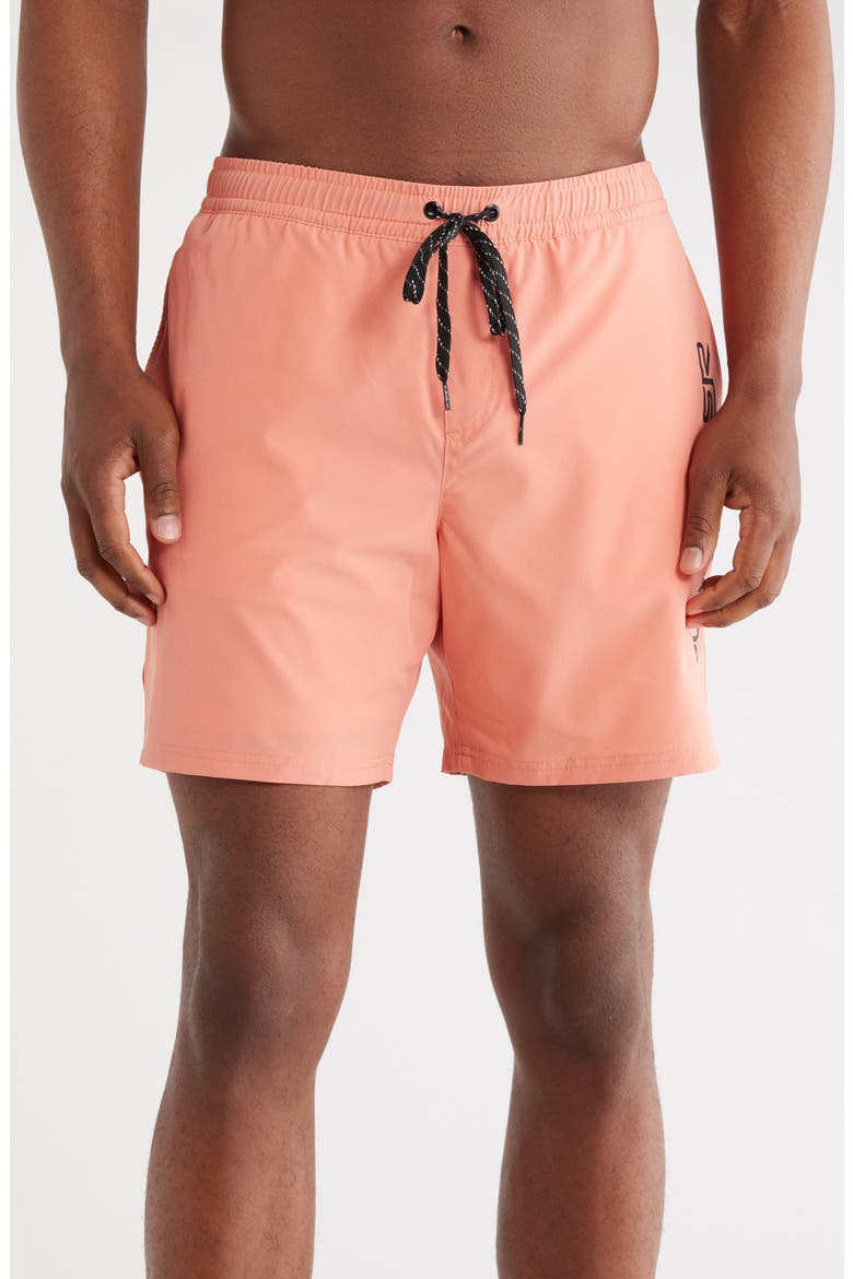 Solid Volley Swim Shorts, Main, color, CLAY