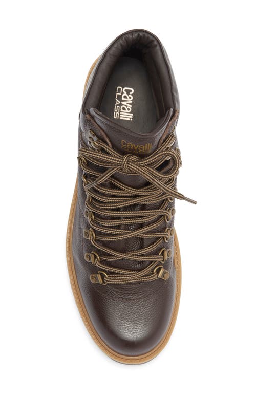 Roberto Cavalli Braises Hiking Boot In Brown