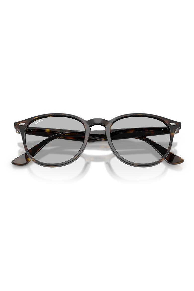 53mm Phantos Sunglasses, Alternate, color, LIGHT HAVANA / LIGHT GREY