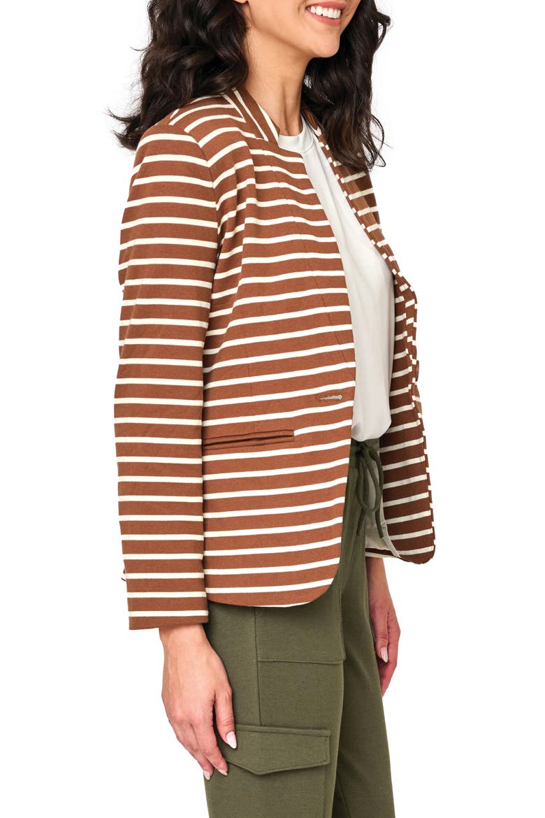 Stripe Knit Blazer, Alternate, color, SADDLE/IVORY STR