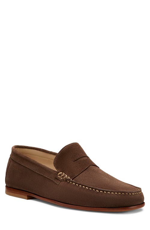 Stuart Weitzman Brady Penny Loafer In Espresso
