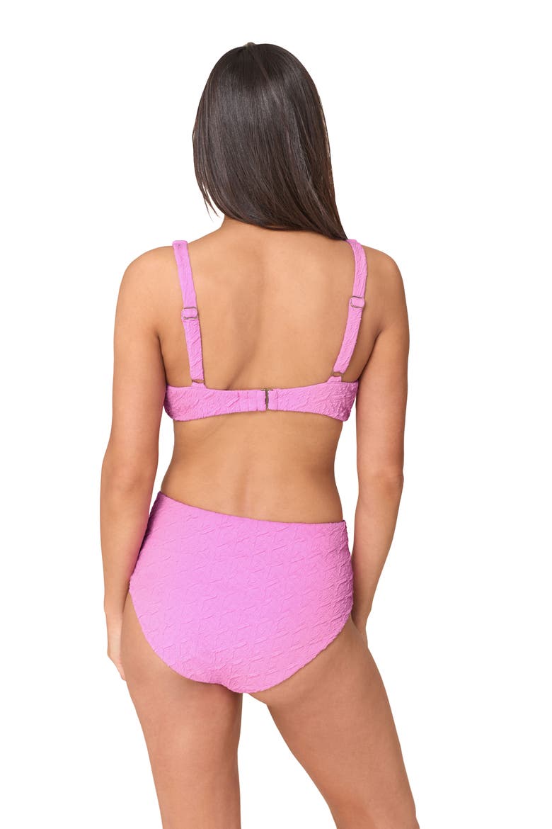The High Rise Bikini Bottoms, Alternate, color, FROSTING