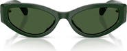 Swarovski 55mm Cat Eye Sunglasses
