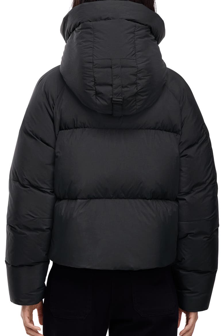 Chilliwack 750 Fill Power Down Puffer Jacket, Alternate, color, BLACK