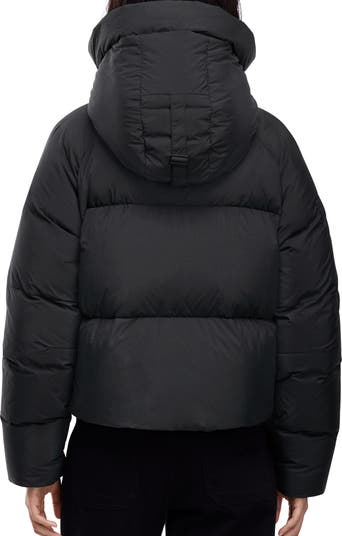 Chilliwack 750 Fill Power Down Puffer Jacket