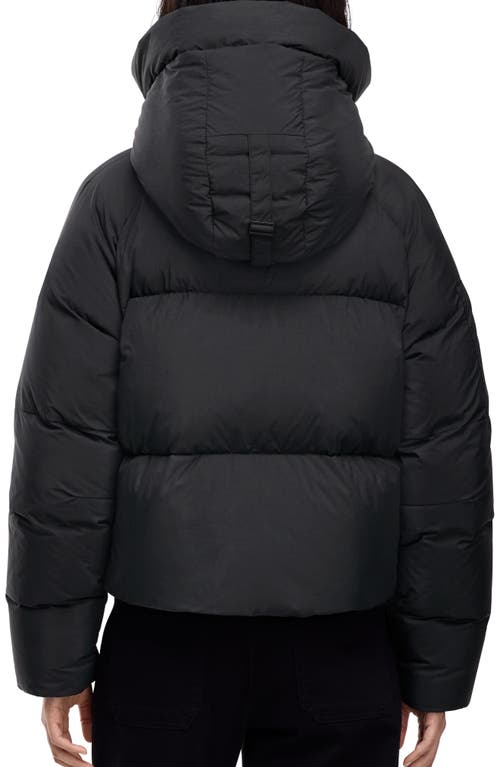 Canada Goose Chilliwack 750 Fill Power Down Puffer Jacket In Black