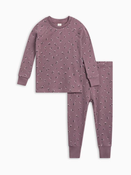 Colored Organics Kids' Organic 2-piece Long Sleeve Jammie Set In Purple