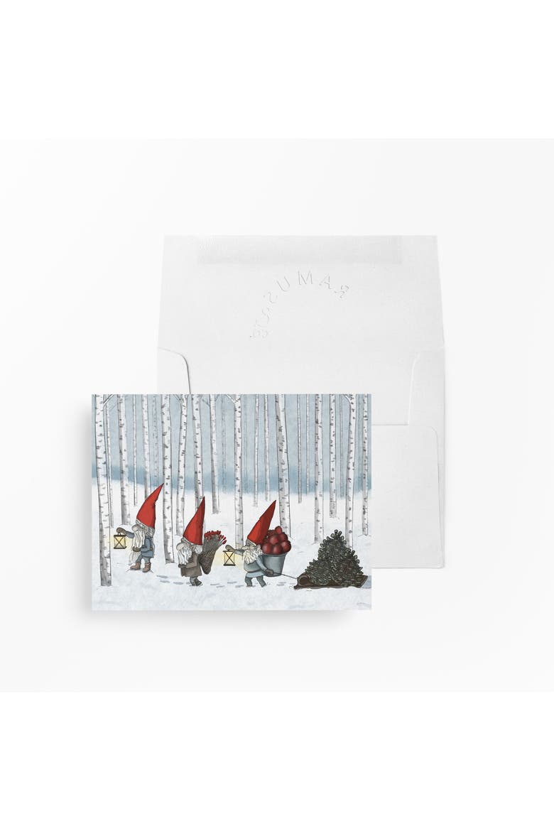 Holiday Winter Greeting Cards "Nordic Gnomes", Main, color, Multi-Pack