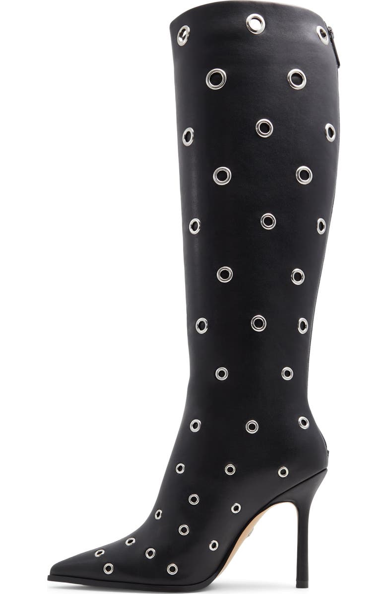ALDO Maybellie Pointed Toe Knee High Boot, Alternate, color,