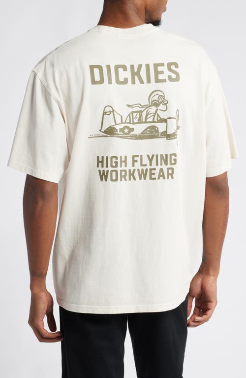 Dickies High Flying Cotton Graphic T-shirt In Cloud