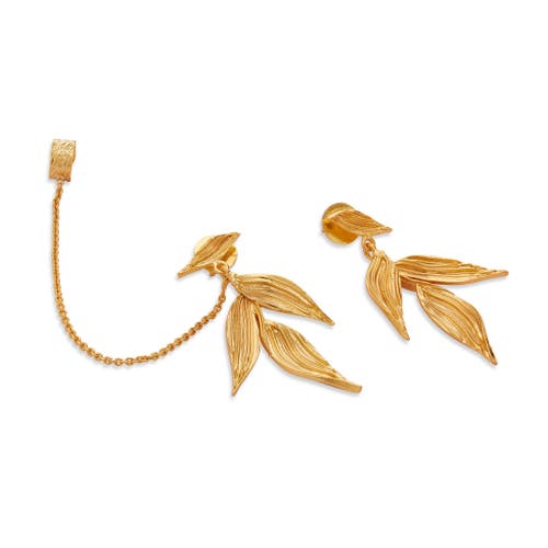 Dhwani Bhansal Isaro Mini Earrings In Gold Plated