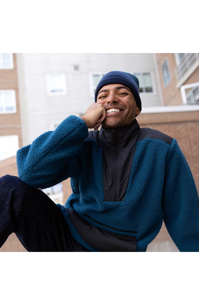 Turtle Fur BTV Wool Beanie, Alternate, color, Black Heather