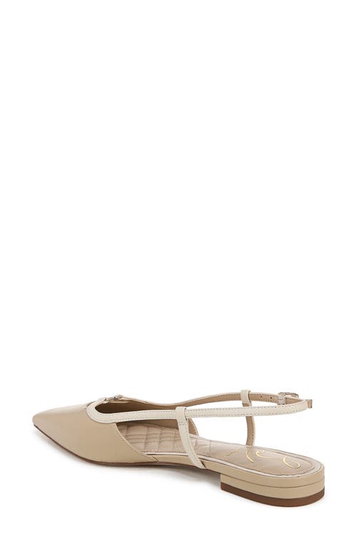 Sam Edelman Cohen Pointed Toe Flat In Oat/modern Ivory