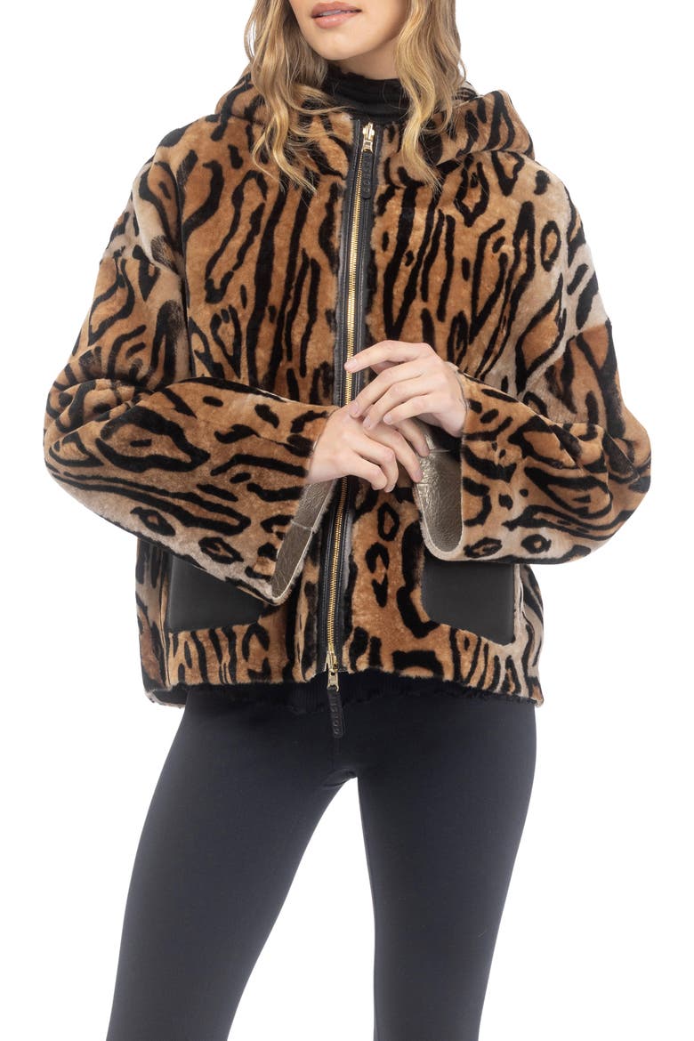 Genuine Shearling Hooded Jacket, Reversible, Alternate, color, OCELO PRINT/GOLD