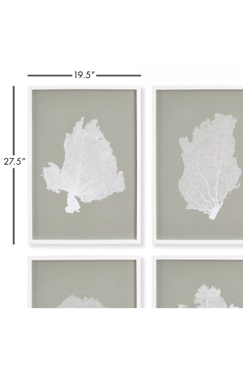 Napa Home & Garden Coral Fans Study Set of 4, Alternate, color, Grey