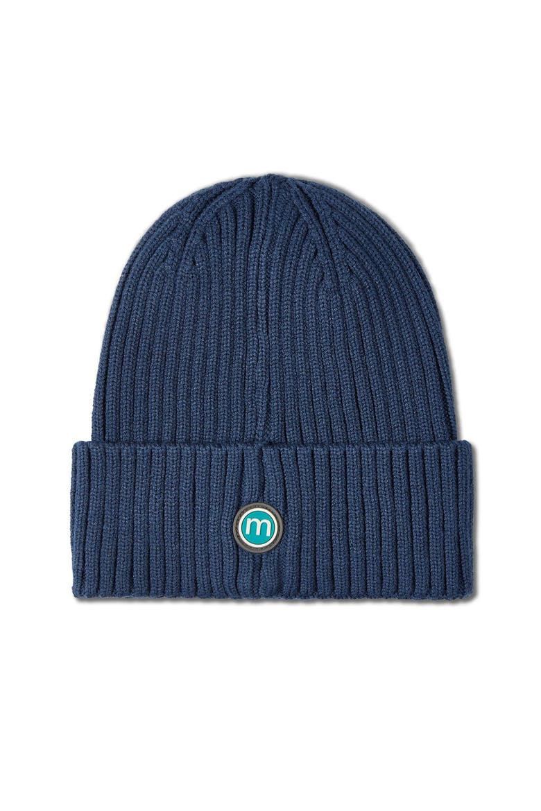 Teddy Bear Ribbed Embroidered Beanie, Alternate, color, Blue