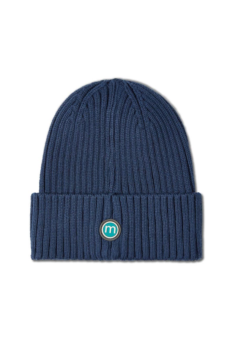 MeMoi Teddy Bear Ribbed Embroidered Beanie, Alternate, color, Blue