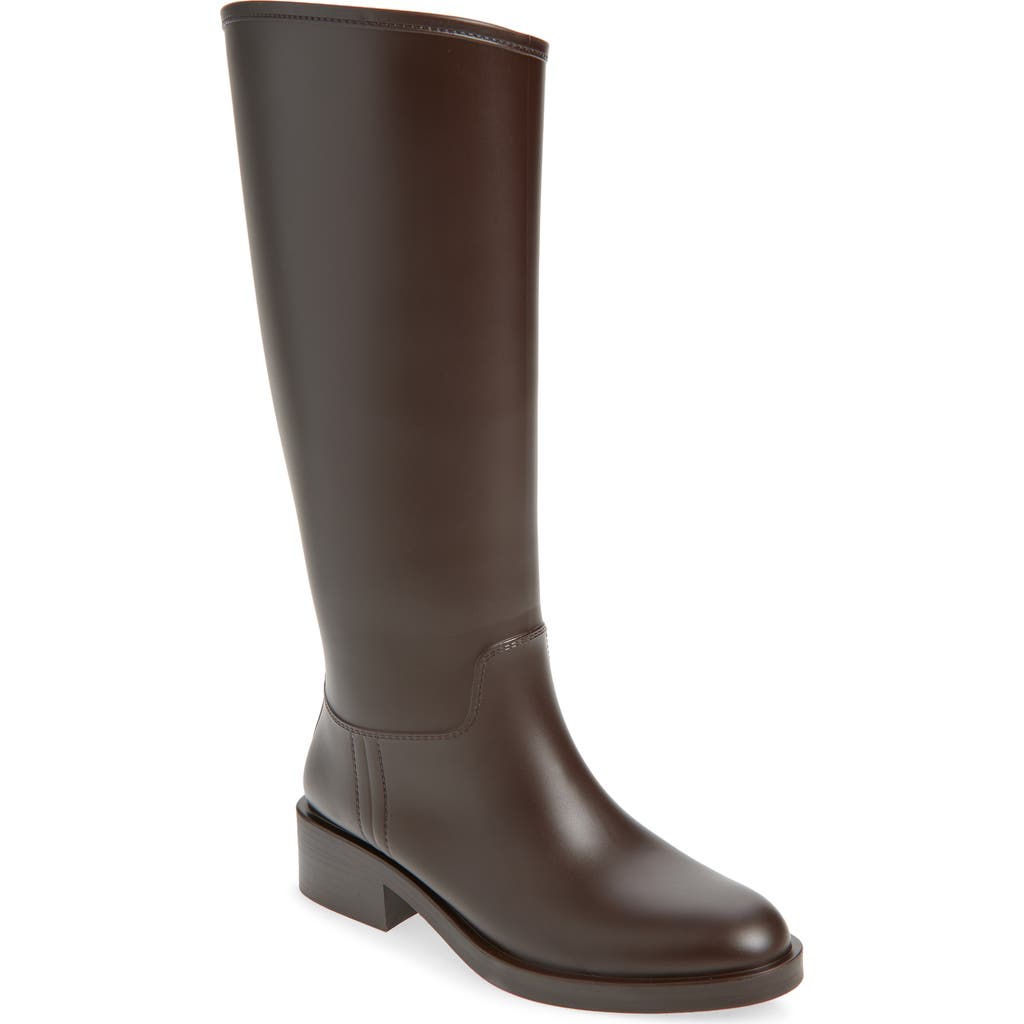 Jeffrey Campbell Torrential Knee High Boot In Brown