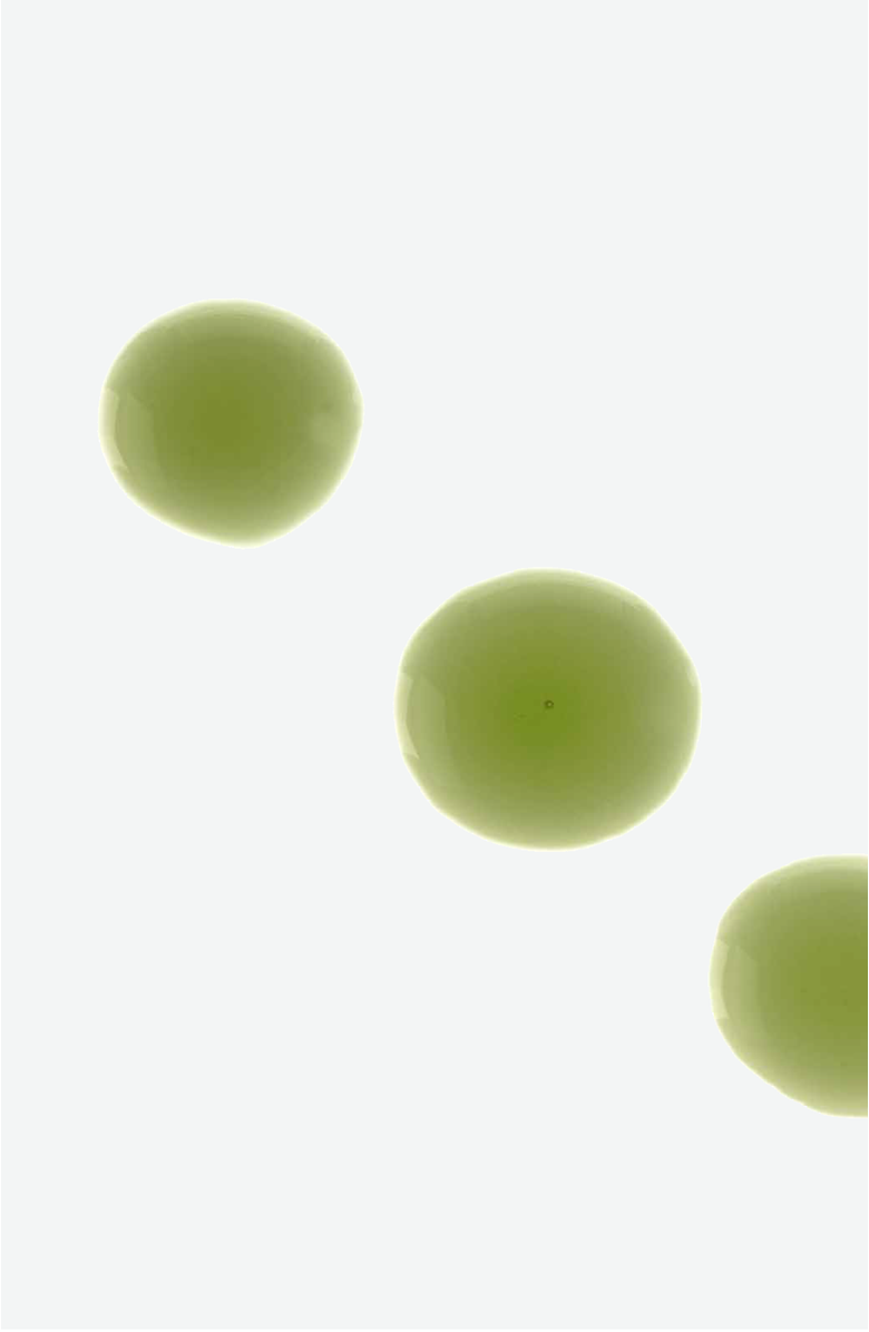 Intelligent Nutrients Liquid Green<sup>®</sup> Face Oil, Alternate, color, NO COLOR