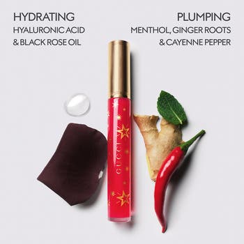 Gloss à Lèvres Plumping Lip Gloss