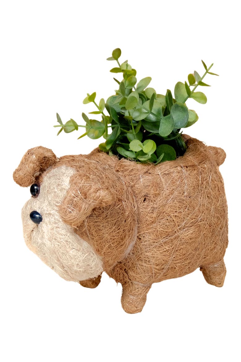 Baby English Bulldog Handwoven Planter, Main, color, BROWN / WHITE
