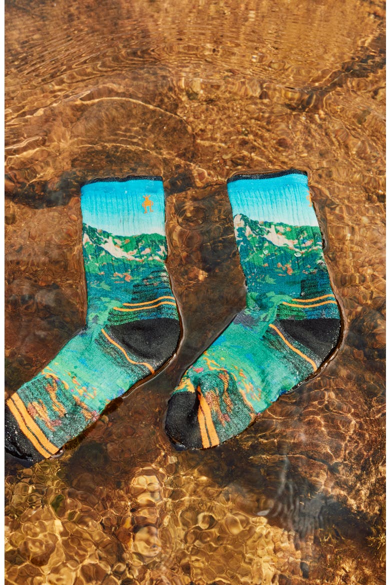 Smartwool Hike Targeted Cushion Mountain Lake Crew Socks (Women ...