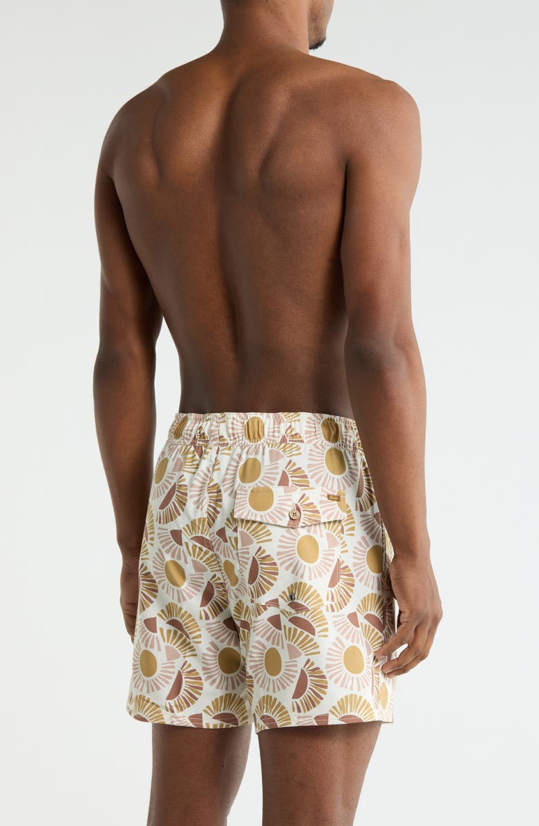 RVCA Exotica Swim Trunks, Alternate, color, Natural
