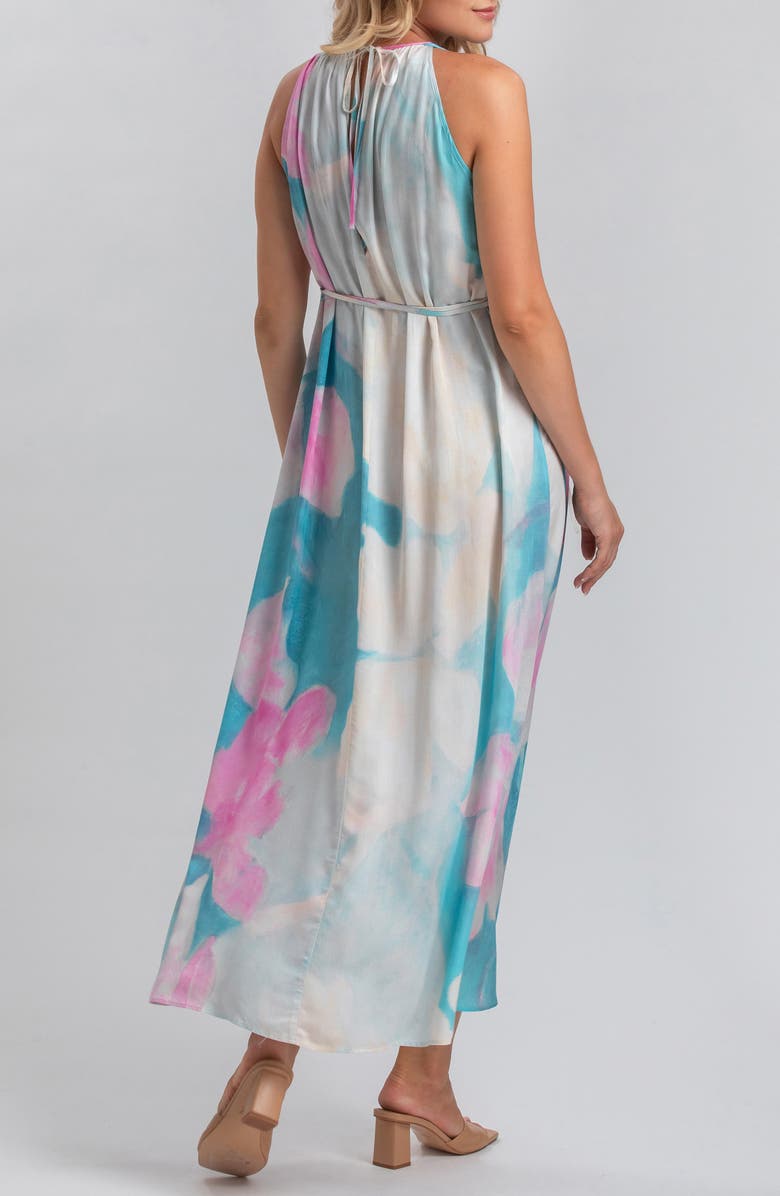 PIETRO BRUNELLI MATERNITY Francesca Floral Maternity Maxi Dress, Alternate, color,