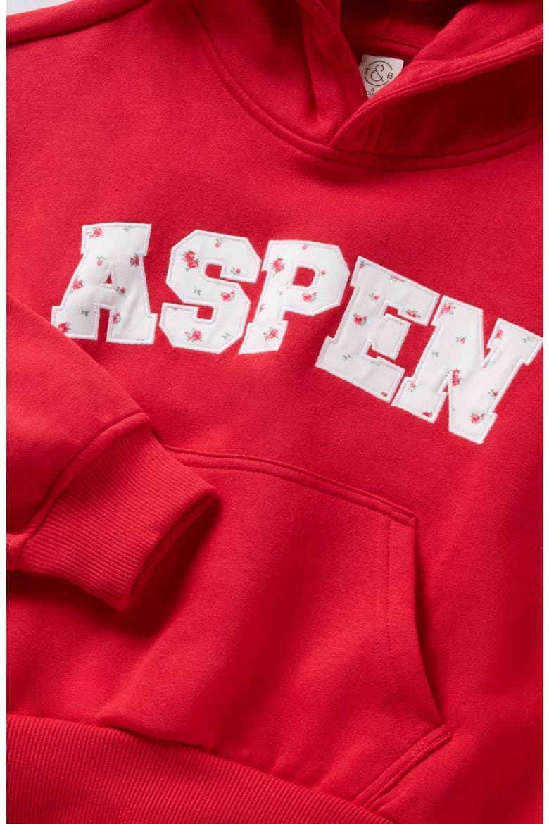 Kids' Graphic Print Hoodie, Alternate, color, RED ASPEN FLORAL