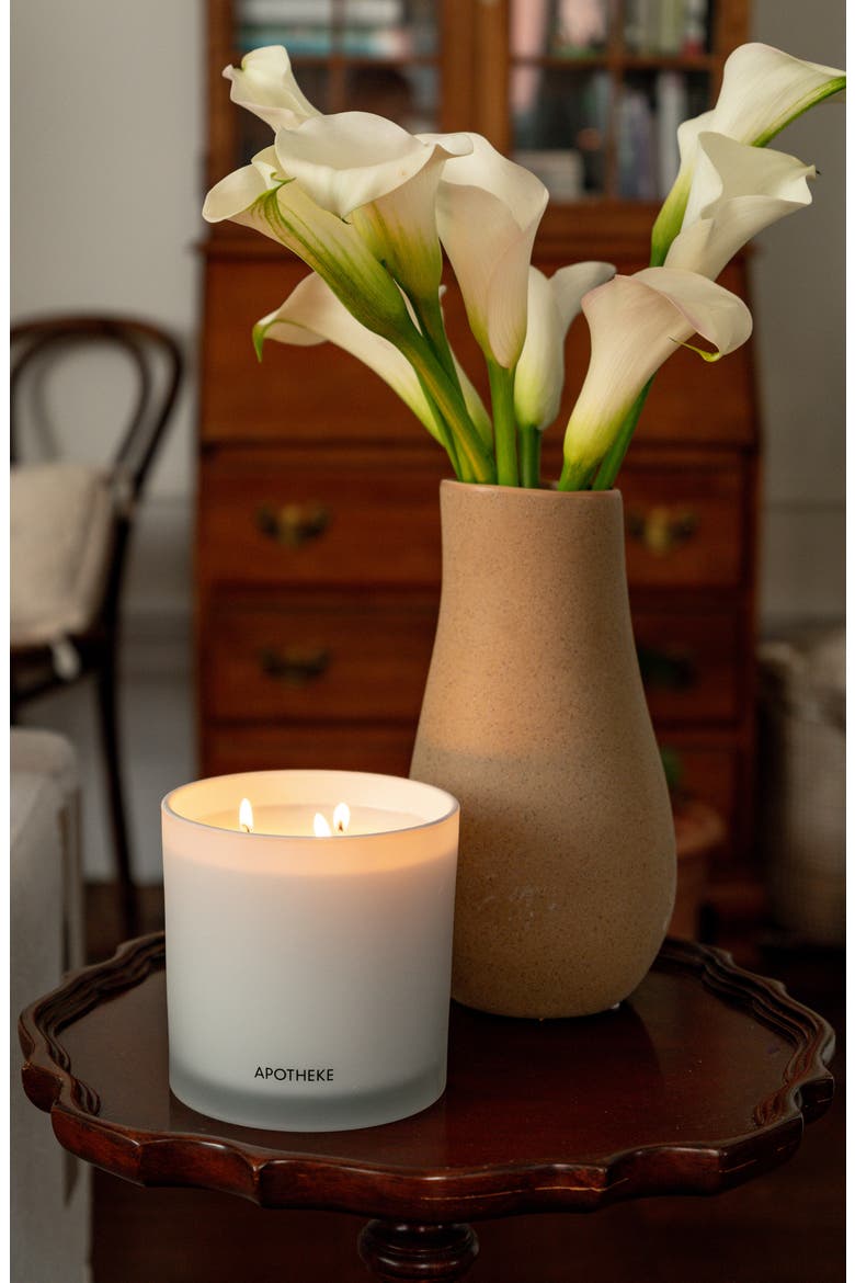 Canvas 3-Wick Scented Candle, Alternate, color, CANVAS